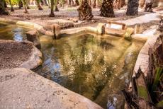 Palmeral van Elche - Een houten sluisje in een irrigatiekanaal in de Palmeral van Elche, door middel van deze houten sluisjes wordt het waterpeil geregeld in de...