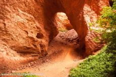 Las Médulas - De gangen in de La Encantada in het gebied Las Médulas,  La Encantada betekend de Betoverde Grot. De grillig gevormde gangen...