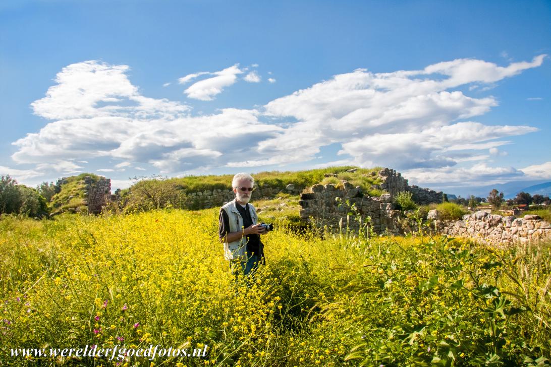 Archaeological Site of Tiryns - Archaeological Site of Tiryns: Today, parts of the ruins of Tiryns are overgrown with wild plants. Tiryns is situated on the... Archaeological Site of Tiryns - Archaeological Site of Tiryns: Today, parts of the ruins of Tiryns are overgrown with wild plants. Tiryns is situated on the...