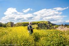 Archeologisch Tiryns - Archeologisch Tiryns: Tegenwoordig is Tiryns in het voorjaar begroeid met wilde planten. Tiryns ligt op de Peloponnesos, een...