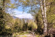 Madriu-Perafita-Claror Valley - Madriu-Perafita-Claror Valley: A donkey trail in the Madriu Valley, the Pyrenees Mountains in the background. The donkey trails are...