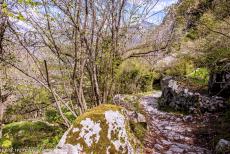 Madriu-Perafita-Claror Valley - Madriu-Perafita-Claror Valley: One of the small, historic donkey paths running alongside a dry-stone wall, known as pedra seca, a characteristic...