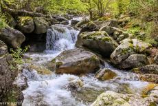 Madriu-Perafita-Claror Valley - Madriu-Perafita-Claror Valley: Numerous waterfalls tumble down the rocks on their way to the Madriu River as it winds through the Vall del Madriu...