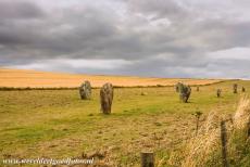 West Kennet Avenue - West Kennet Avenue: The two rows of standing stones of West Kennet Avenue looking towards Avebury. Many of the stones had already been disappeared...