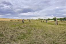 West Kennet Avenue - Bij Avebury liggen enkele stenen avenues, één daarvan is de 2,5 km lange West Kennet Avenue, die door prehistorische mensen... West Kennet Avenue - Bij Avebury liggen enkele stenen avenues, één daarvan is de 2,5 km lange West Kennet Avenue, die door prehistorische mensen...