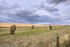 West Kennet Avenue - West Kennet Avenue loopt in de richting van de stenen cirkels en henge van Avebury. In de 17de eeuw werd er voor het eerst schriftelijk melding... West Kennet Avenue - West Kennet Avenue loopt in de richting van de stenen cirkels en henge van Avebury. In de 17de eeuw werd er voor het eerst schriftelijk melding...