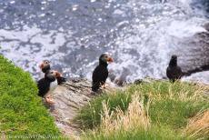 Sceilg Mhichíl - Skellig Michael - 