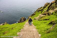 Sceilg Mhichíl - Skellig Michael - Skellig Michael - Iers: Sceilg Mhichíl: Na het bezoek aan het klooster van St. Fionan op de top van het rotseilandje Skellig Michael gaat...