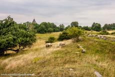 Birka and Hovgården - Birka and Hovgården: The remains of Alsnöhus at Hovgården, the steeple of the Adelsö Church in the...