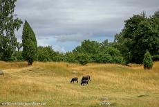 Birka en Hovgården - Birka en Hovgården liggen in Zweden, het zijn archeologische vindplaatsen met overblijfselen uit de Vikingtijd. Birka ligt op...