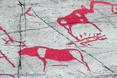 Rock Art of Alta - Rock Art of Alta: The first rock carvings were discovered in 1972 in the area of Jiepmaluokta, a Sami name meaning: Bay of seals, or in Norwegian:...