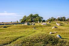 Agrarisch landschap van Zuid-Öland - Agrarisch landschap van Zuid-Öland: Het grafveld bij Segerstad is uit de ijzertijd, enkele graven zijn vermoedelijk ouder. Het grafveld ligt...