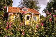 Agrarisch landschap van Zuid-Öland - Agrarisch landschap van Zuid-Öland: Een klein houten huis in het pittoreske dorp Vickleby. Het dorp ligt dichtbij de...