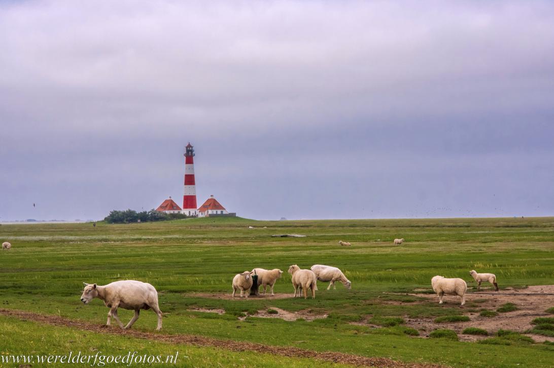 Duitse deel van de Waddenzee - Waddenzee: De vuurtoren van Westerheversand&nbsp;staat buitendijks midden in&nbsp;de zoutmoerassen en schorren van de Waddenzee.&nbsp;De...