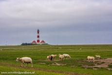 Duitse deel van de Waddenzee - Waddenzee: De vuurtoren van Westerheversand staat buitendijks midden in de zoutmoerassen en schorren van de Waddenzee. De...