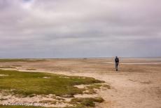 German part of the Wadden Sea - A lonely mudflathiker across the mudflats in the Wadden Sea. The Wadden Sea is extremely treacherous, mudflat hiking without a...