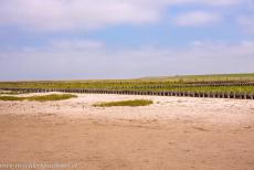 Duitse deel van de Waddenzee - Het Duitse deel van de Waddenzee: De wadden zijn modder- en zandbanken&nbsp;die in een ondiepe zee ontstaan. Wadden worden twee&nbsp;keer per...