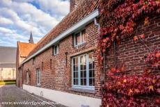 Vlaams Begijnhof Sint Truiden - Vlaams Begijnhof van Sint Truiden: Met wilde wingerd begroeid begijnenhuisje, de kerk van Sint Agnes, de Begijnhofkerk, op de achtergrond. Het...