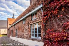 Vlaams Begijnhof Sint Truiden - Vlaams Begijnhof van Sint Truiden: Een met wilde wingerd begroeid begijnhuis, de kerk van Sint Agnes, de Begijnhofkerk, ligtt op de achtergrond....