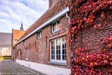 Vlaams Begijnhof van Sint-Truiden - Een met wilde wingerd begroeid historisch begijnenhuisje; de kerk van Sint-Agnes, de Begijnhofkerk, staat op de achtergrond. Toen de infirmerie in...