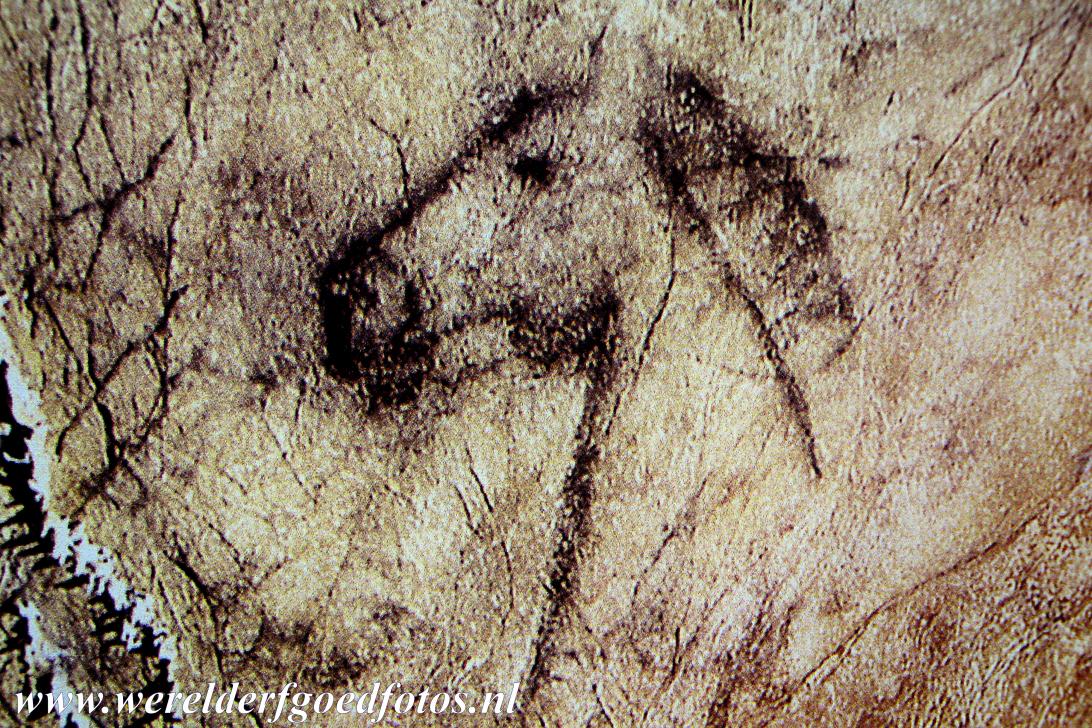 De grotkunst van Altamira en Tito Bustillo - Paleolithische grotkunst van Noord-Spanje: Een van de bekendste grottekeningen in de grot van Tito Bustillo is te zien in de Galeria de los...