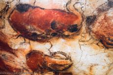 Cave Art of Altamira and Tito Bustillo - Paleolithic Cave Art of Northern Spain, the Altamira Cave: A detail of the ceiling of the Altamira Cave. The ceiling is covered in painted...