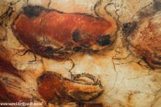 De grotkunst van Altamira en Tito Bustillo - Paleolithische grotkunst van Noord-Spanje, de grot van Altamira: Een detail van het plafond van de grot van Altamira. Het plafond is...