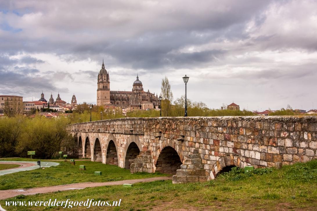 Old City of Salamanca - The Puente Mayor del Tormes, in the background the New Cathedral of the city of Salamanca. The Puente Mayor del Tormes is...