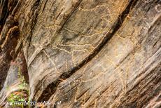 Prehistoric Rock Art of Siega Verde - Prehistoric Rock Art Sites of Siega Verde: This rock art panel depicts a group of animals, among them a bull and a horse. Visits to the Siega...