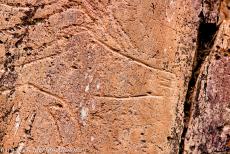 Prehistorische rotstekeningen in de Côa Vallei - Een prehistorische rotstekening in de Côa Vallei. De locaties met rotstekeningen in de Côa Valley en de Siega Verde in... Prehistorische rotstekeningen in de Côa Vallei - Een prehistorische rotstekening in de Côa Vallei. De locaties met rotstekeningen in de Côa Valley en de Siega Verde in...