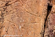 Prehistorische rotstekeningen in de Côa Vallei - Een prehistorische rotstekening in de Côa Vallei. De locaties met rotstekeningen in de Côa Valley en de Siega Verde in...