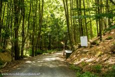 Primeval Beech Forests of the Carpathians - Primeval Beech Forests of the Carpathians and other regions in Europe: The Vihorlat Mountain area is of volcanic origin, the...