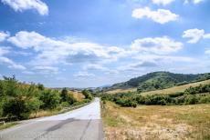 Primeval Beech Forests of the Carpathians - Primeval Beech Forests of the Carpathians and other regions in Europe: The Vihorlat Mountain area is of volcanic origin, the...