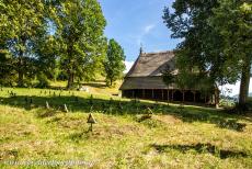 Voorhistorische beukenbossen van de Karpaten - De voorhistorische beukenbossen van de Karpaten en in andere regio's van Europa: Naast de houten kerk van het dorpje Topola ligt een...