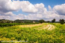 Fertö / Neusiedlersee Cultural Landscape - Fertö / Neusiedlersee Cultural Landscape:  The Seewinkel is situated in a bend on the east side of the Neusiedlersee. The Seewinkel is...