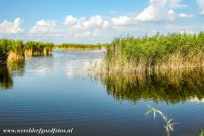 Cultuurlandschap van de Fertö / Neusiedlersee - Cultuurlandschap van de Fertö / Neusiedlersee: De Neusiedlersee wordt omgeven door brede rietkragen. In het plaatsje Donnerskirchen...