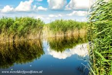 Cultuurlandschap van de Fertö / Neusiedlersee - Het Cultuurlandschap Fertö / Neusiedlersee is een grensoverschrijdend Werelderfgoed van UNESCO. Fertö is de Hongaarse en Neusiedlersee...