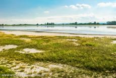 Cultuurlandschap van de Fertö / Neusiedlersee - Cultuurlandschap van de Fertö / Neusiedlersee: Rond de Neusiedlersee en in Seewinkel komen dieren en planten voor uit de Alpen, Aziatische,...