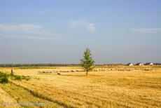 Hortobágy National Park - Puszta - Hortobágy National Park - the Puszta: Shepherds and their sheep dogs still roam the Puszta as they have done for centuries and the...