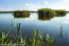 Cultuurlandschap Fertö / Neusiedlersee - Cultuurlandschap van de Fertö / Neusiedlersee: De avond valt over de Neusiedlersee. Rond de Neusiedlersee ligt een landschap gemengd van...