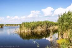Fertö / Neusiedlersee Cultural Landscape - Fertö / Neusiedlersee Cultural Landscape: The reeds of the Neusiedlersee, Neusiedler Lake. The lake is one of the largest steppe lakes in...