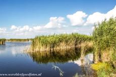 Fertö / Neusiedlersee Cultural Landscape - Fertö / Neusiedlersee Cultural Landscape: The reeds of the Neusiedlersee, the Neusiedler Lake. The lake one of the largest steppe lakes...