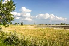 Cultuurlandschap Fertö / Neusiedlersee - Cultuurlandschap Fertö / Neusiedlersee: Bij Donnerskirchen is de rietgordel meer dan acht km breed. De Neusiedlersee wordt bijna...