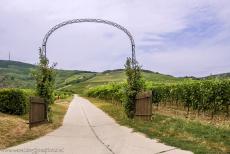 Tokaj Wine Region Historic Cultural Landscape - Tokaj Wine Region Historic Cultural Landscape: It is not certain when the first wines were made in the Tokaj Wine Region. The first vineyards were...