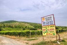Tokaj Wine Region Historic Cultural Landscape - Tokaj Wine Region Historic Cultural Landscape: The Tokaj wine region is renowned for its sweet wines made by grapes affected by the Noble...