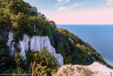 Ancient and Primeval Beech Forests of Europe - Jasmund National Park, Germany: Der Feuerregenfelsen, the Fire Rain Rock, is a chalk cliff in the Stubbenkammer. The Stubbenkammer is an area...