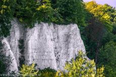 Ancient and Primeval Beech Forests of Europe - Jasmund National Park: The Feuerregenfelsen, the Fire Rain Rock, a cliff in the Stubbenkammer area. Around 1850, a special attraction...