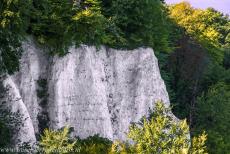 Oude en voorhistorische beukenbossen - Nationaal Park Jasmund:&nbsp;De Feuerregenfelsen&nbsp;(Vuurregenrots)&nbsp;is een krijtrots in het gebied de Stubbenkammer.&nbsp;Rond 1850...