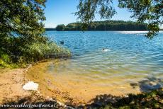 Voorhistorische beukenbossen van Europa - Voorhistorische beukenbossen van de Karpaten en oude beukenbossen in andere regio's van Europa: Het meer van Müritz in Nationaal...