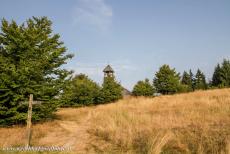 Ancient Beech Forests of Europe - The Forest Church on the Kellerwald Forest Trail. The National Park Kellerwald-Edersee in Hesse contains one of the ancient beech forests of...